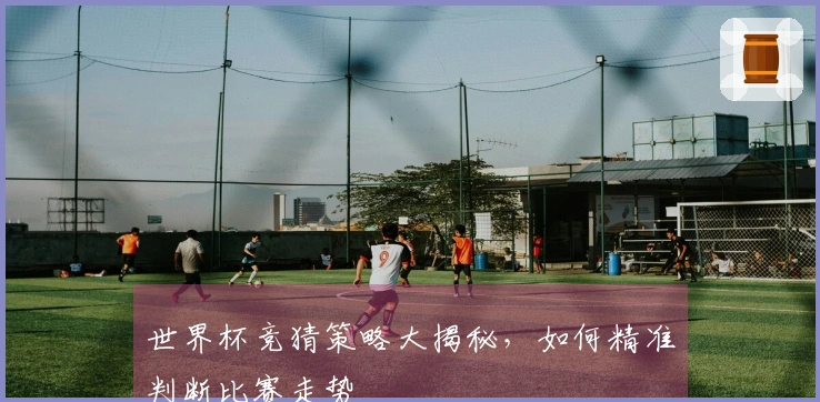 世界杯竞猜策略大揭秘，如何精准判断比赛走势