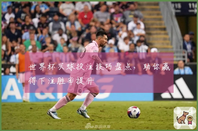 世界杯买球投注技巧盘点，助你赢得下注胜率提升