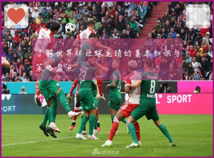 了解世界杯让球竞猜的基本知识与策略盘点