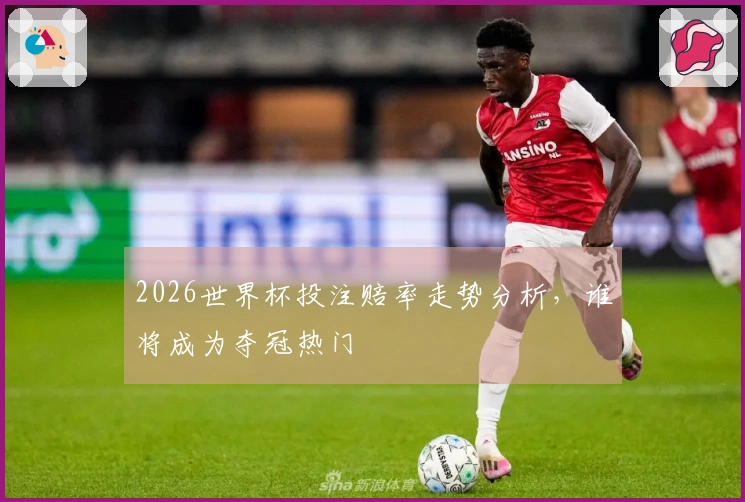 2026世界杯投注赔率走势分析，谁将成为夺冠热门