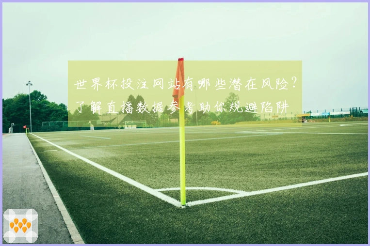 世界杯投注网站有哪些潜在风险？了解直播数据参考助你规避陷阱