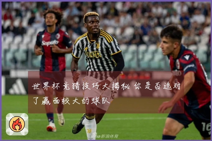 世界杯竞猜技巧大揭秘 你是否选对了赢面较大的球队