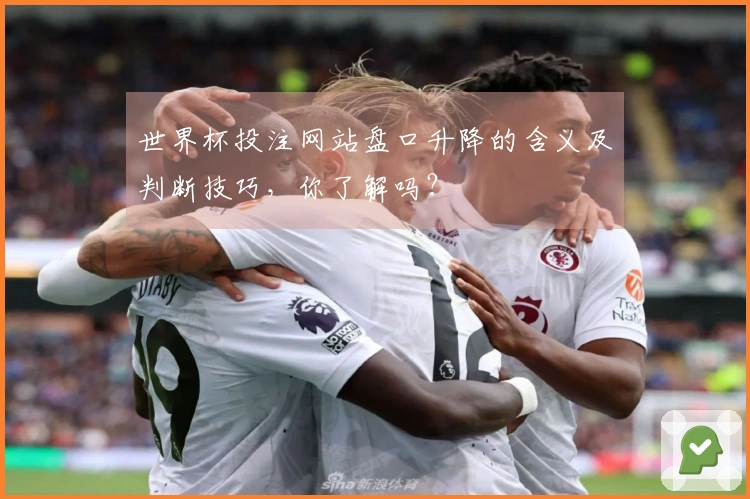 世界杯投注网站盘口升降的含义及判断技巧，你了解吗？