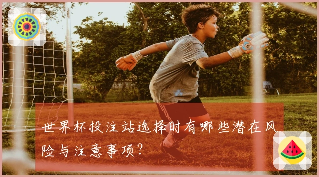 世界杯投注站选择时有哪些潜在风险与注意事项？