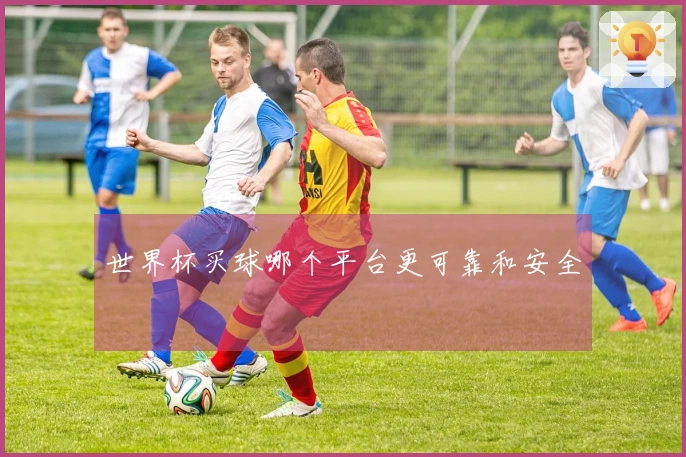 世界杯买球哪个平台更可靠和安全
