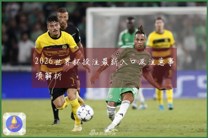 2026世界杯投注最新入口及注意事项解析