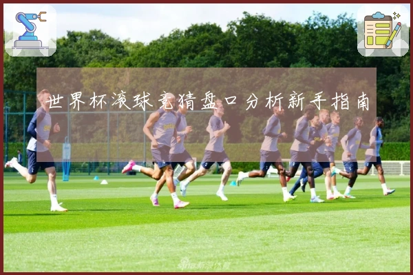 世界杯滚球竞猜盘口分析新手指南
