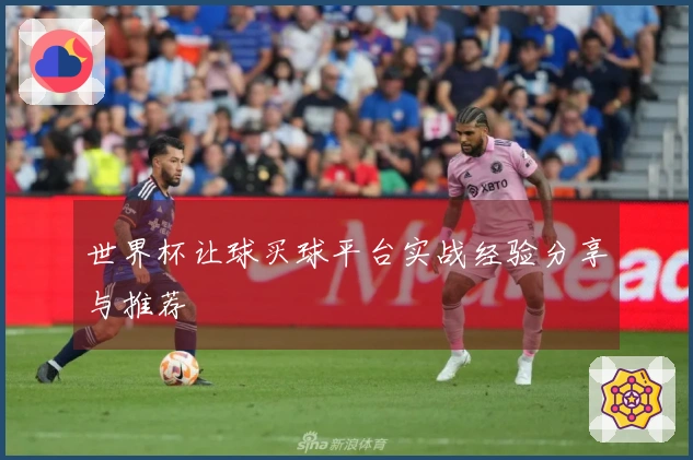 世界杯让球买球平台实战经验分享与推荐