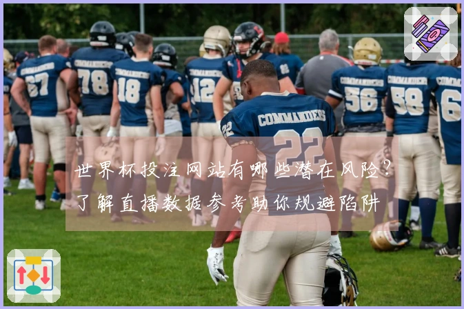 世界杯投注网站有哪些潜在风险？了解直播数据参考助你规避陷阱